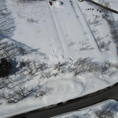 Niseko town land